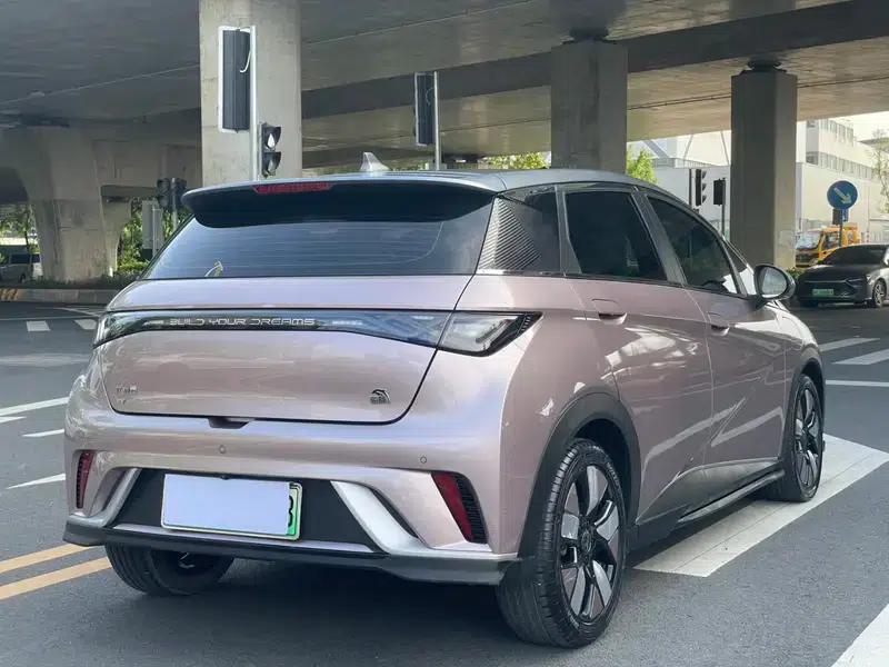 Dolphin 2021 Knight Edition — миниатюра 6