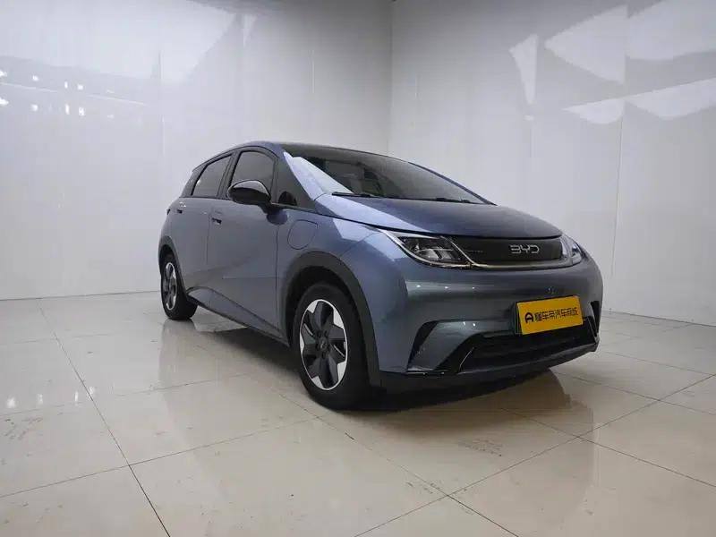 Dolphin 2025 420KM Freedom Edition — миниатюра 3