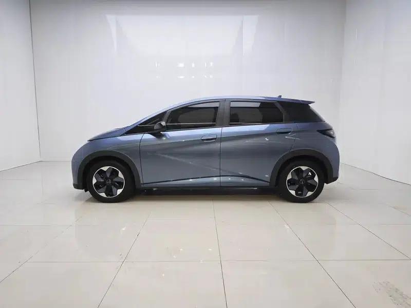 Dolphin 2025 420KM Freedom Edition — миниатюра 4