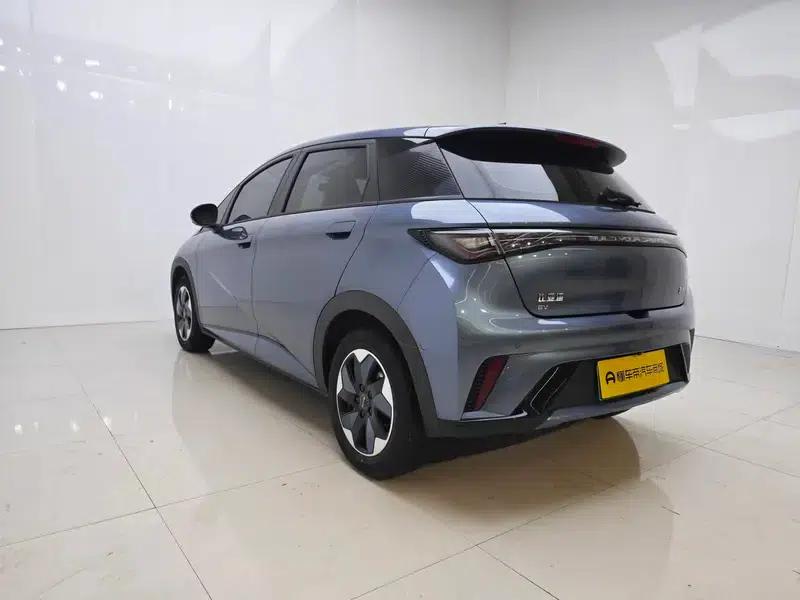 Dolphin 2025 420KM Freedom Edition — миниатюра 5