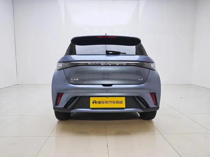 Dolphin 2025 420KM Freedom Edition — миниатюра 6