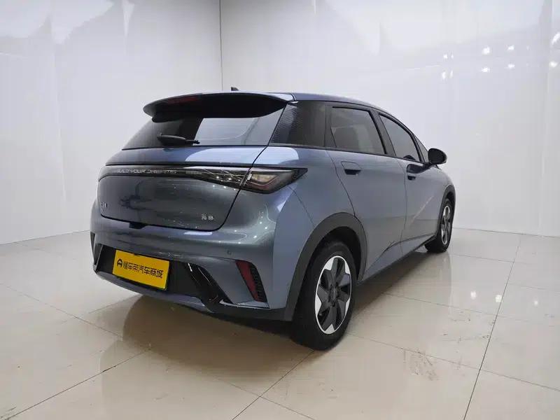 Dolphin 2025 420KM Freedom Edition — миниатюра 7