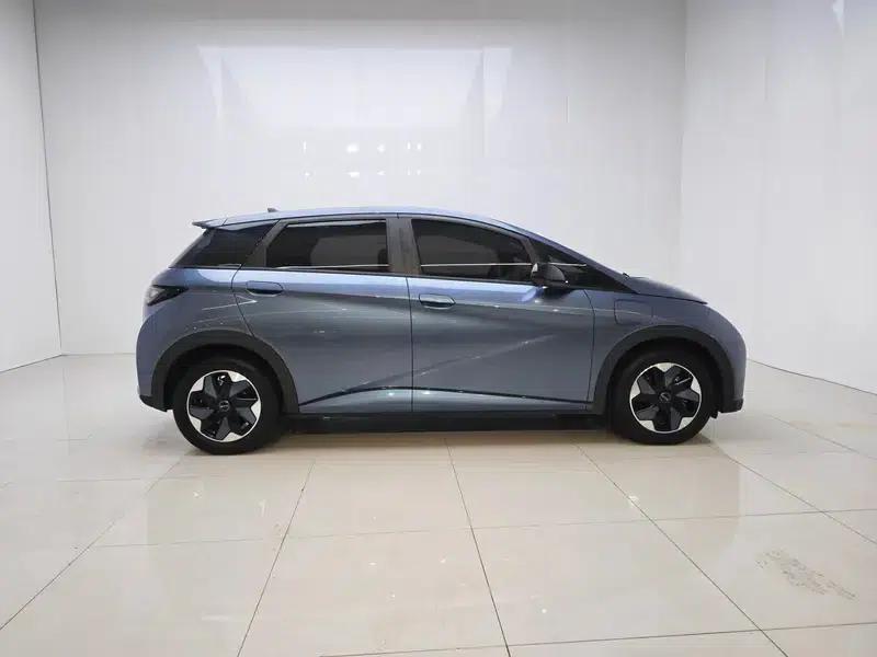 Dolphin 2025 420KM Freedom Edition — миниатюра 8