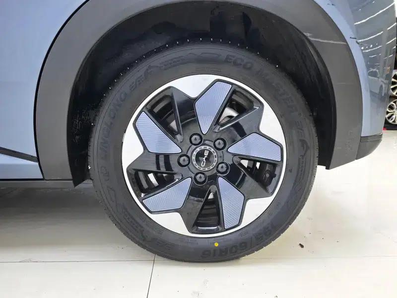 Dolphin 2025 420KM Freedom Edition — миниатюра 9