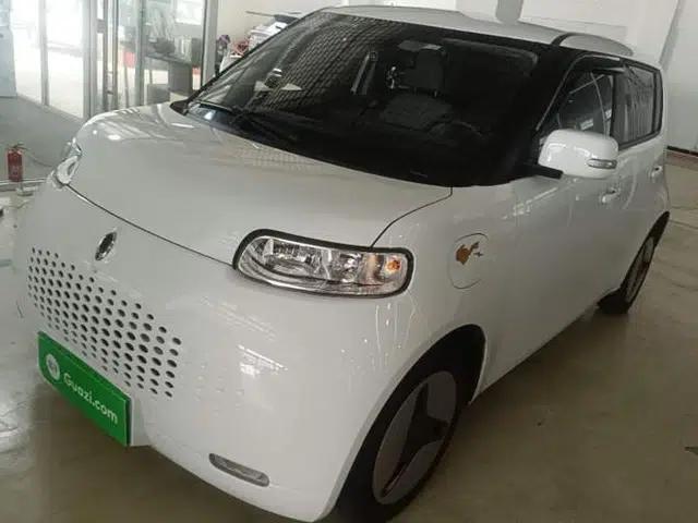 ORA White Cat 2020 360 km Luxury Version