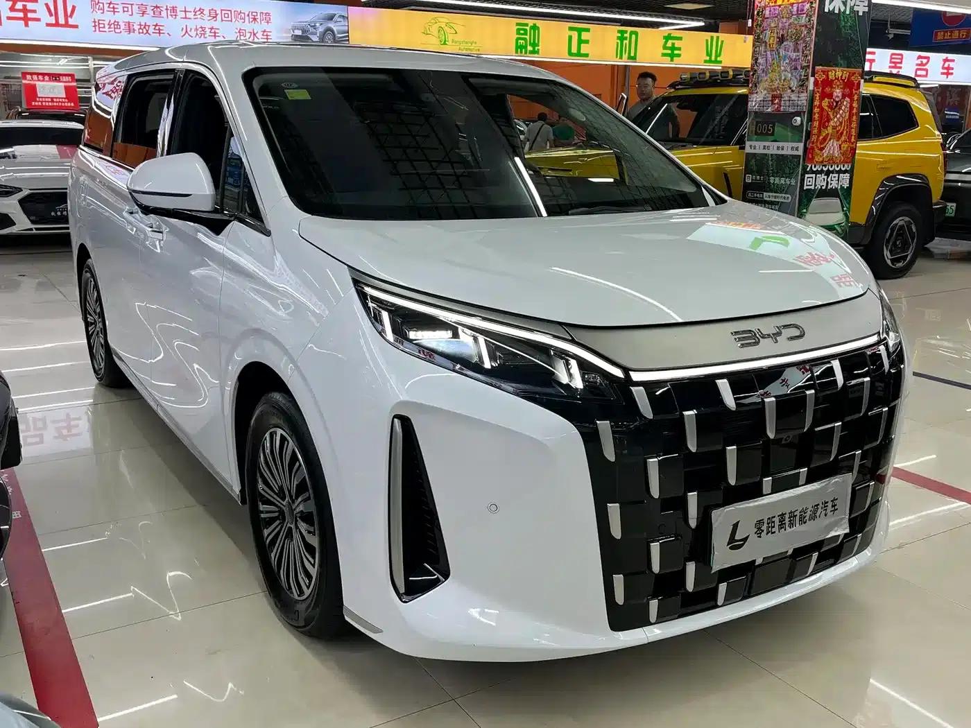 BYD M9 2025 1060 Navigator Edition — миниатюра 1