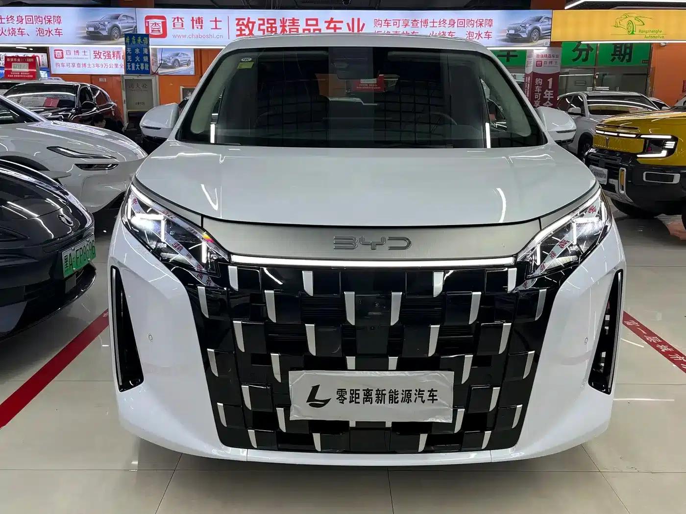 BYD M9 2025 1060 Navigator Edition — миниатюра 2