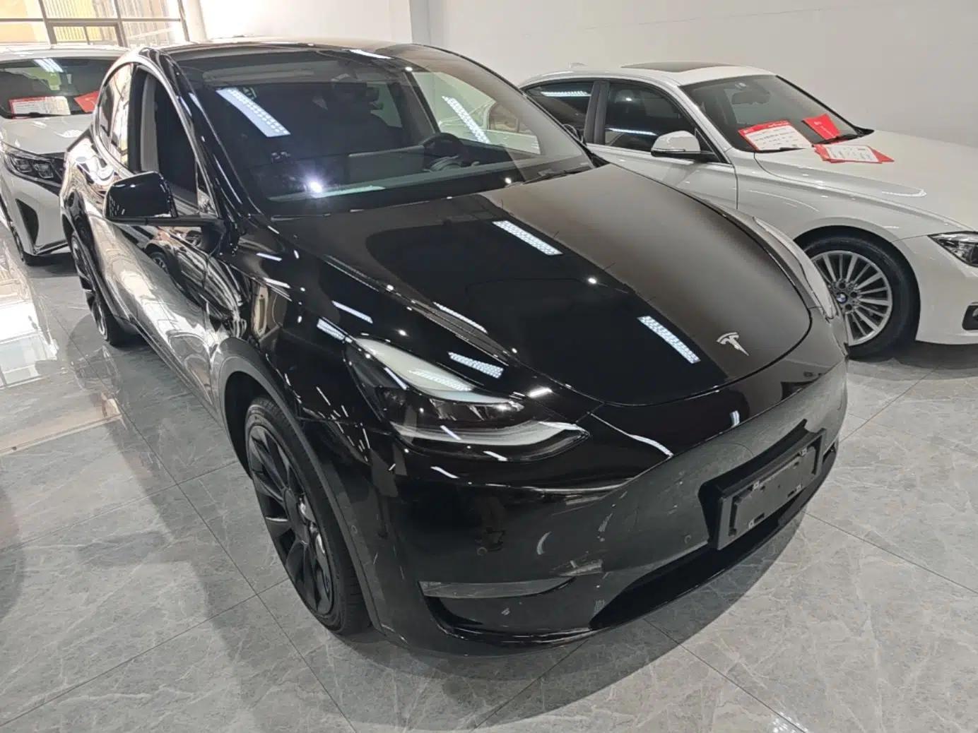 Tesla Model Y 2021 Standard Range Rear-Wheel Drive Version — миниатюра 3