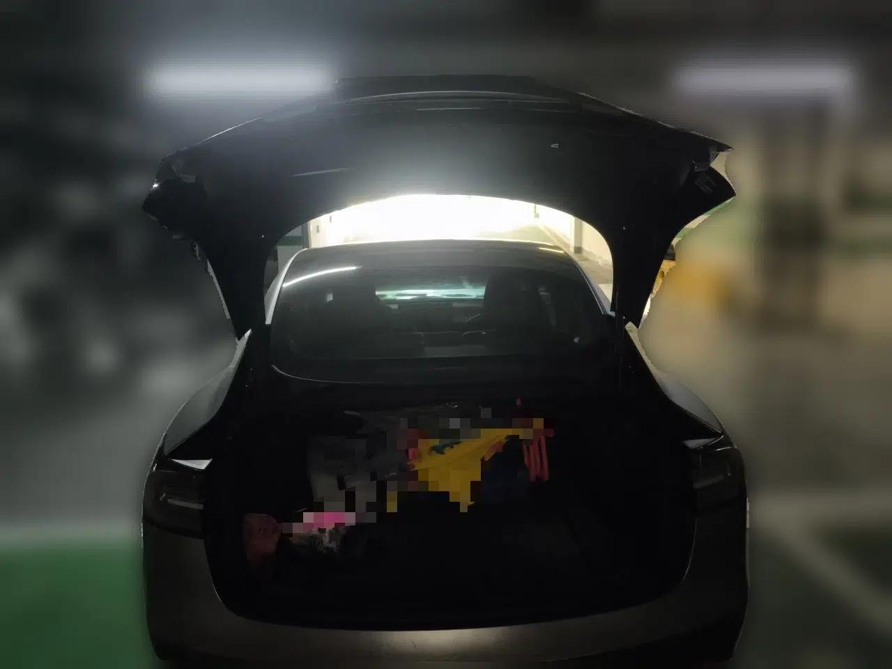 Tesla Model 3 2021 Standard Range Rear-Wheel Drive Upgraded Version 3D6 — миниатюра 19