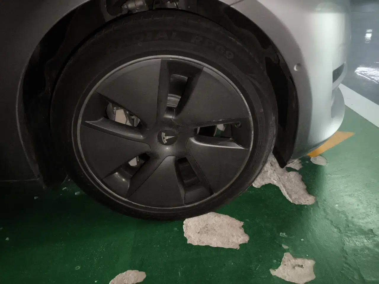 Tesla Model 3 2021 Standard Range Rear-Wheel Drive Upgraded Version 3D6 — миниатюра 8