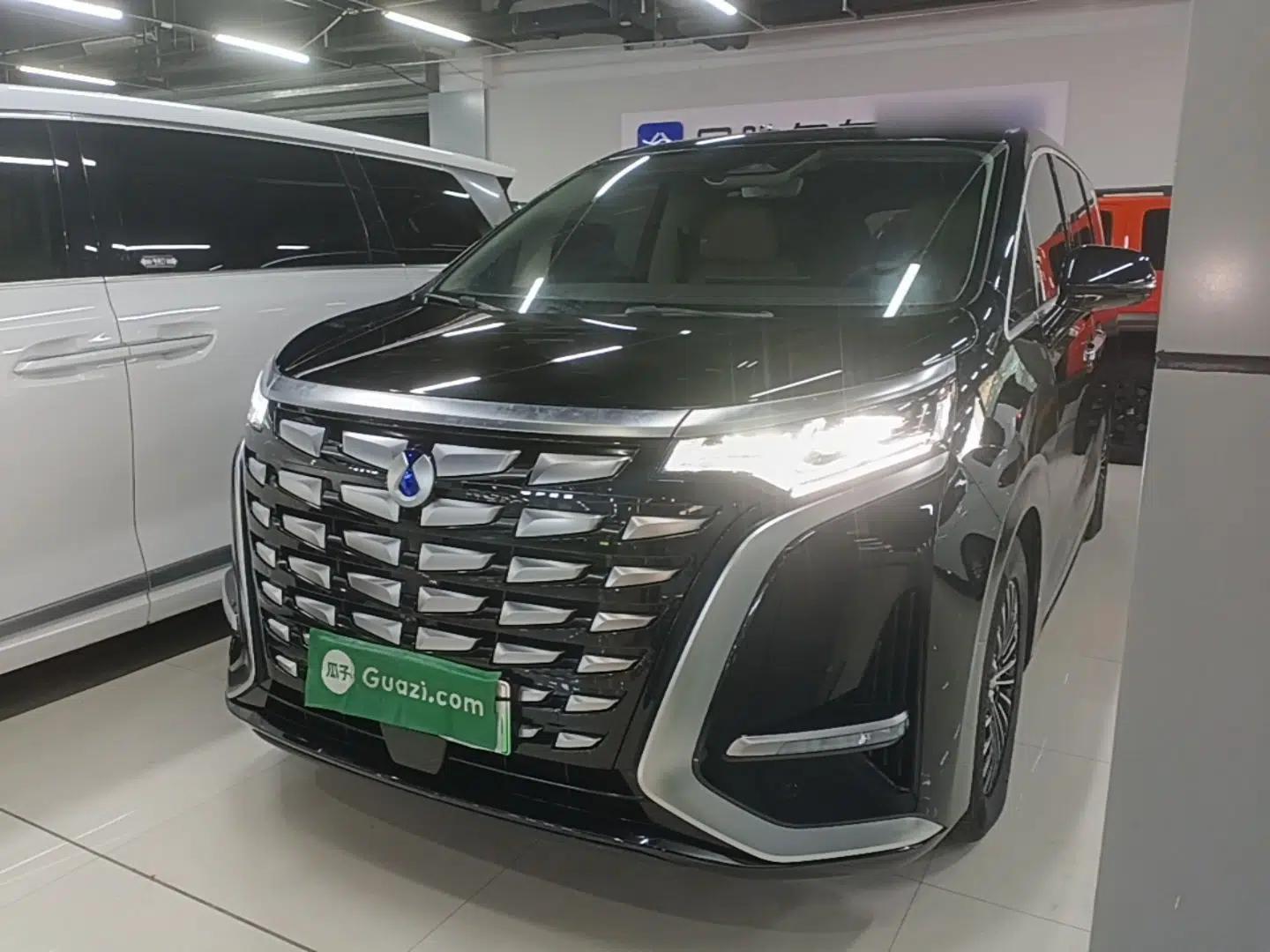 Denza D9 2024 DM-i 980 Four-Wheel Drive Prestige Model — миниатюра 1