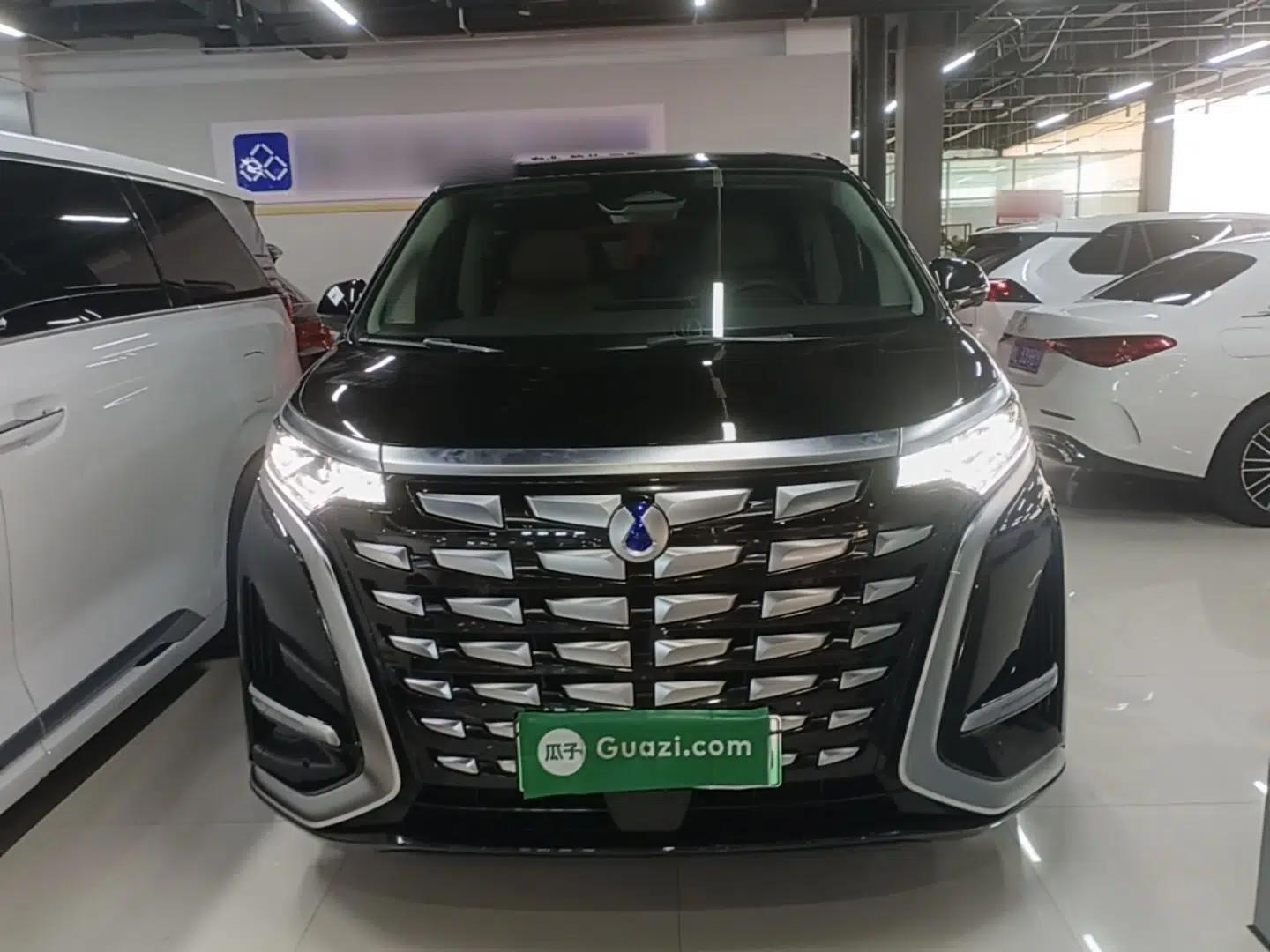 Denza D9 2024 DM-i 980 Four-Wheel Drive Prestige Model — миниатюра 2