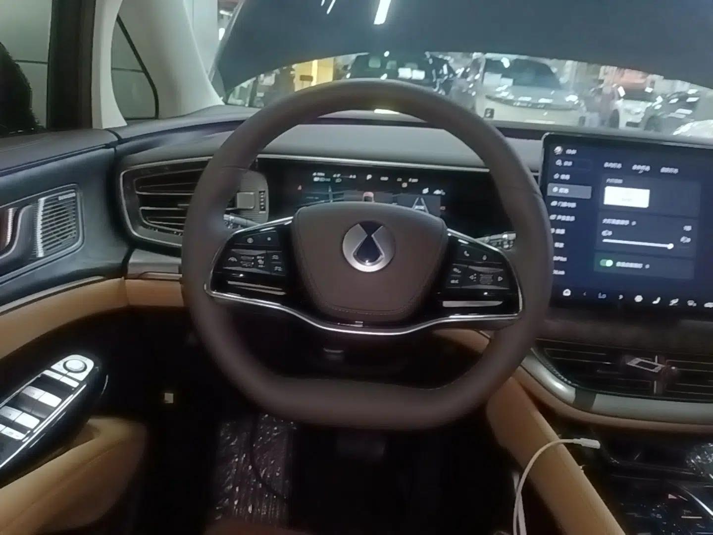 Denza D9 2024 DM-i 980 Four-Wheel Drive Prestige Model — миниатюра 13