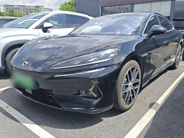 Denza Z9 2024 1100 km Four-Wheel Drive Max Version