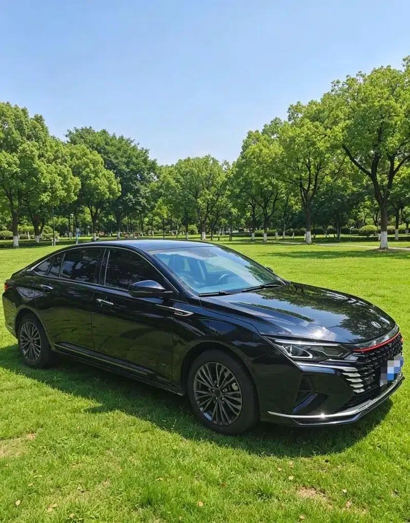 Aeolus Yixuan 2022 230T Automatic Tiger Roar Edition — миниатюра 3