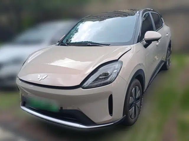 Wuling Bingo S 2025 Model 325km Deluxe Edition