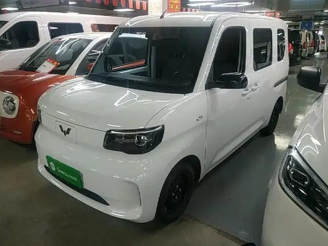 Wuling Zhiguang New Energy 2025 Standard Model