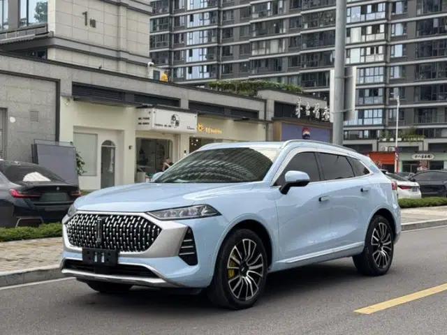 Wey Mocha 2021 2.0T Four-Wheel Drive Premium Edition
