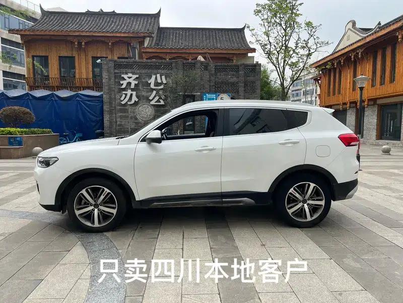 Haval H6 2017 Red Label 2.0T Automatic 2WD Premium Edition — миниатюра 4