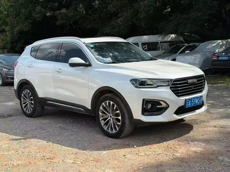 Haval H6 2018 Blue Label 2.0T Automatic Luxury — миниатюра 3