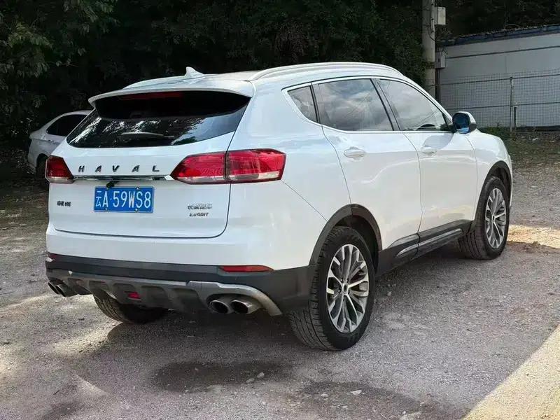 Haval H6 2018 Blue Label 2.0T Automatic Luxury — миниатюра 6