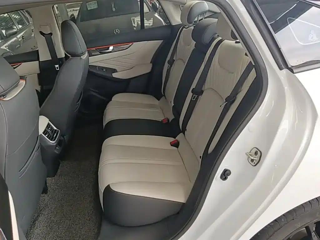 Aeolus Aeolus MAX 2023 1.5T Super Cool Dad Edition — миниатюра 17