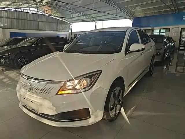 Dongfeng Fengshen E70 2020 500 Super Enjoy Edition