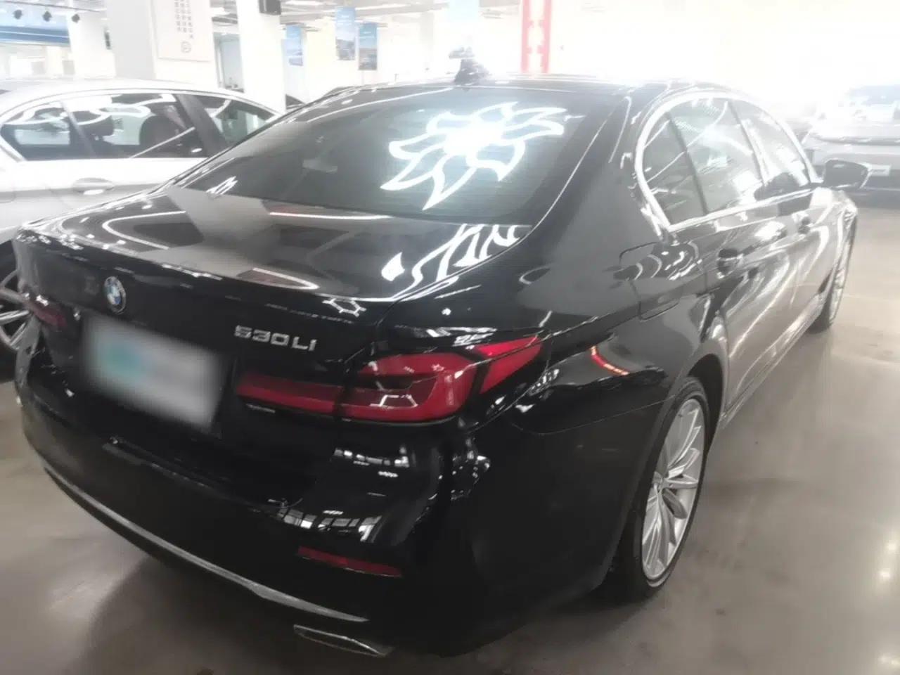 BMW 5 Series 2022 Revised Version 3 530Li Luxury Edition Premium Package — миниатюра 6