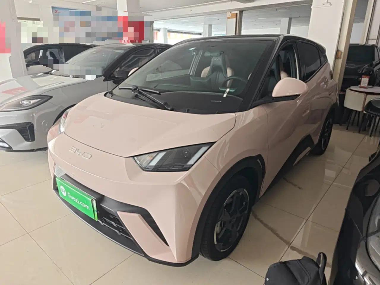 BYD Seagull 2023 Flying Edition — миниатюра 1