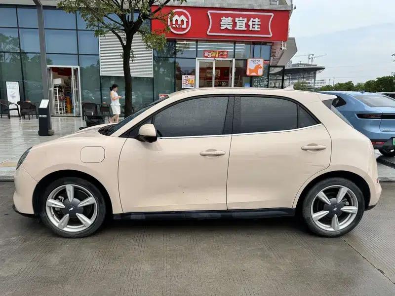 ORA Good Cat 2022 Morandi Edition, 400km Standard Range, Luxury Model, Lithium Iron Phosphate — миниатюра 3
