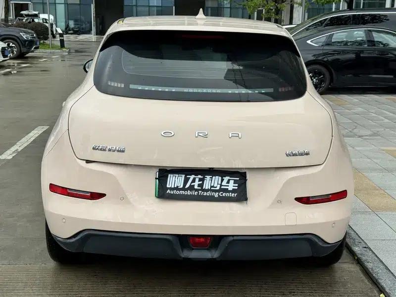 ORA Good Cat 2022 Morandi Edition, 400km Standard Range, Luxury Model, Lithium Iron Phosphate — миниатюра 4