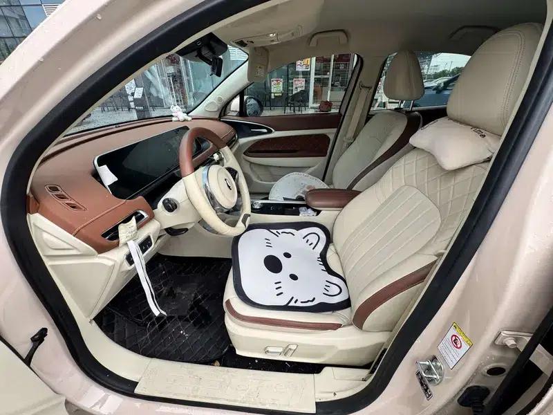 ORA Good Cat 2022 Morandi Edition, 400km Standard Range, Luxury Model, Lithium Iron Phosphate — миниатюра 8