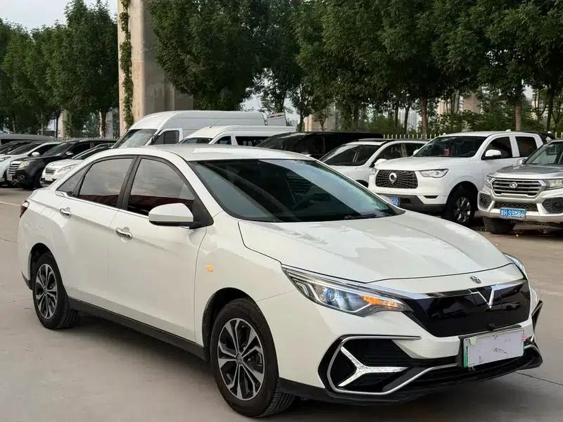 Venucia D60 EV 2019 High-Range Travel Edition — миниатюра 3