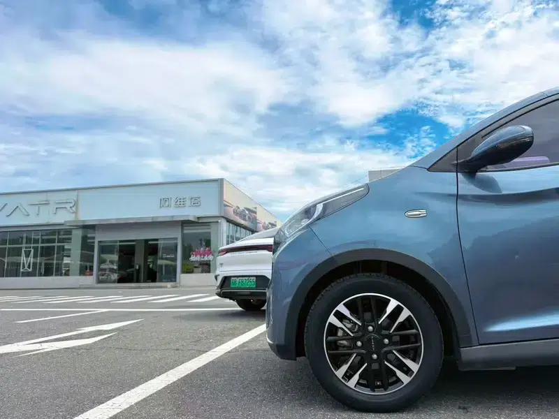 Little Ant 2022 Model, Sweet Pink (Half-Sugar) Lithium Iron Phosphate, 30.7kWh, 30kW, 301km/h — миниатюра 3