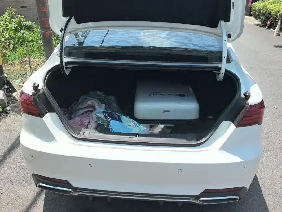 Geely Binrui 2020 1.4T CVT Luxury Edition — миниатюра 4