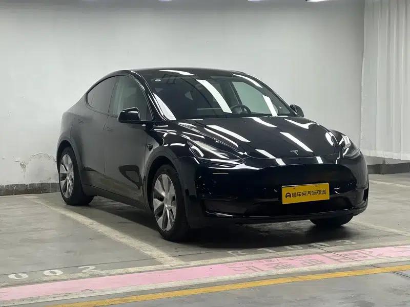 Model Y 2021 Standard Range Rear-Wheel Drive — миниатюра 3