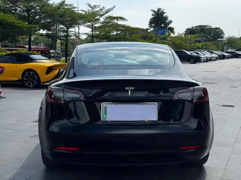 Model 3 2021 Standard Range Rear-Wheel Drive Upgrade 3D6 — миниатюра 6