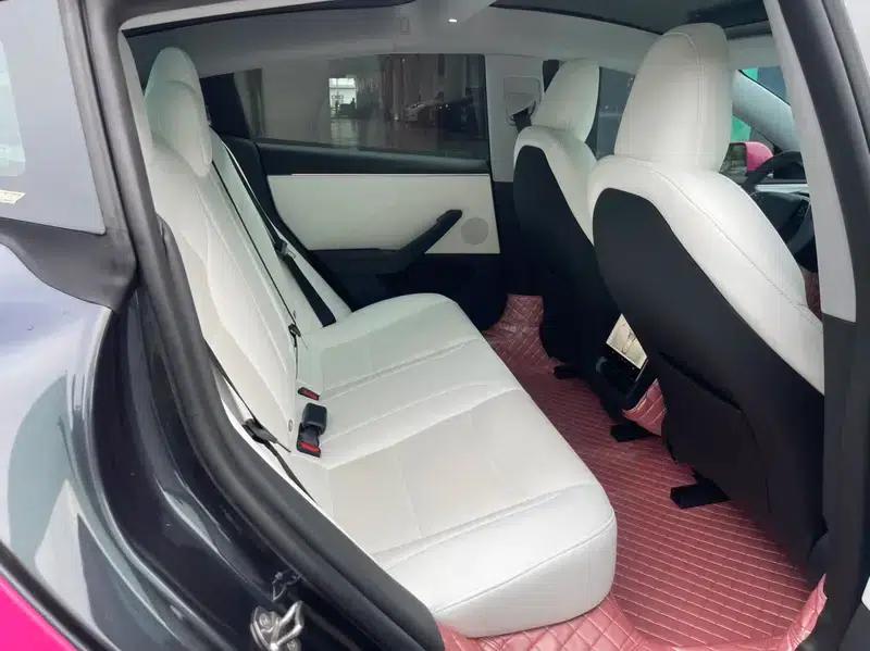 Model 3 2023 Rear-Wheel Drive — миниатюра 12