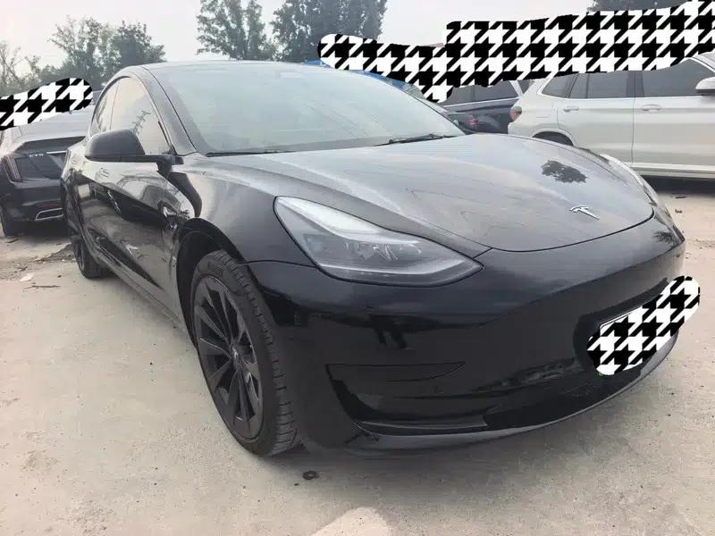 Model 3 2021 Standard Range Rear-Wheel Drive Upgrade 3D6 — миниатюра 3