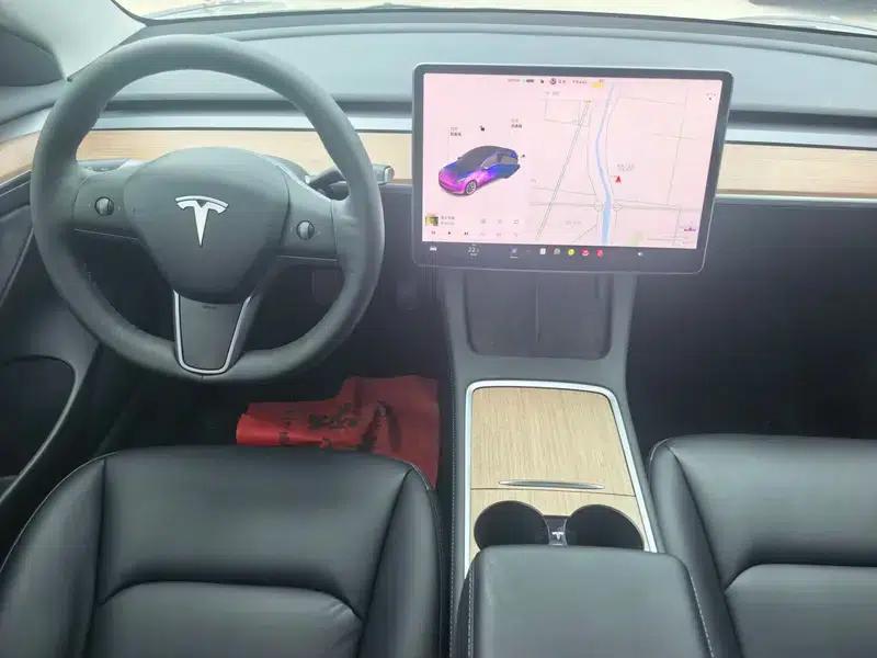 Model 3 2021 Standard Range Rear-Wheel Drive Upgrade 3D6 — миниатюра 8