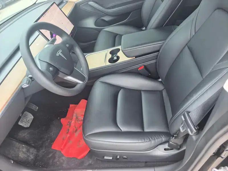 Model 3 2021 Standard Range Rear-Wheel Drive Upgrade 3D6 — миниатюра 10