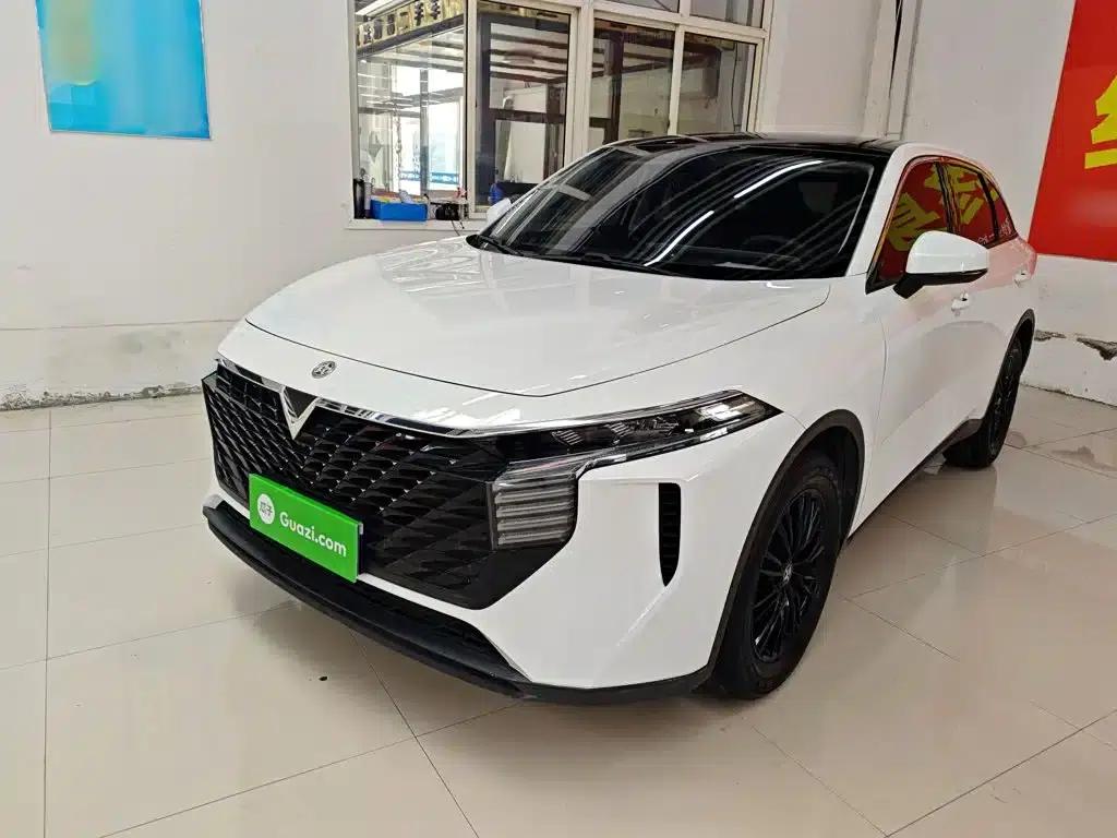 Venucia V2021 260T Idol Edition — миниатюра 1