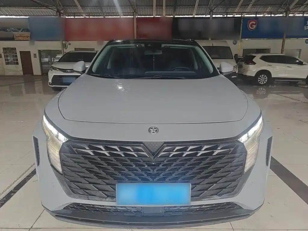 Venucia V2021 260T King Edition — миниатюра 3