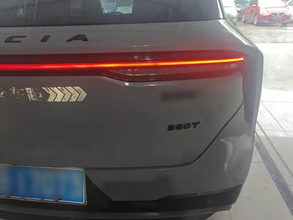 Venucia V2021 260T King Edition — миниатюра 24
