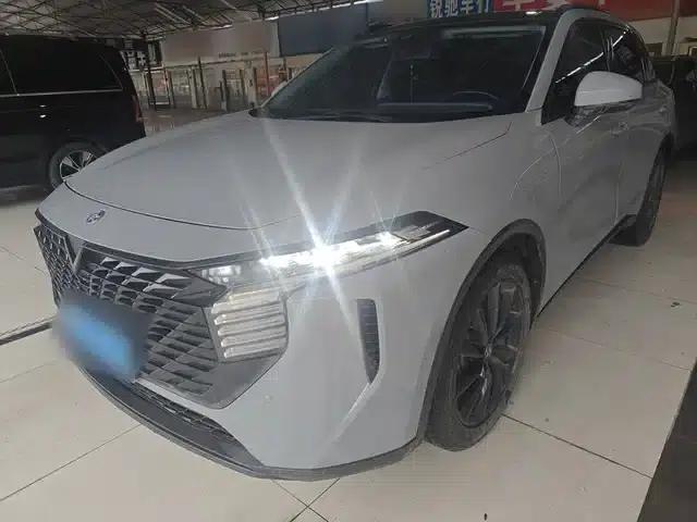 Venucia V2021 260T King Edition