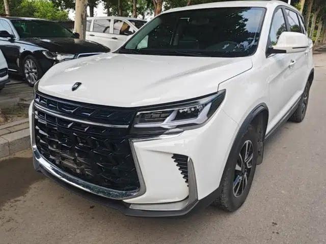 FORTHING T5 2024 Grand Edition 1.6L Manual Dream-Chasing Version 5 Seats