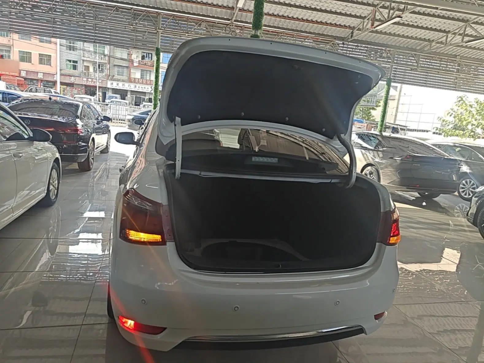 Dongfeng Aeolus E70 2020 500 Supreme Edition — миниатюра 22