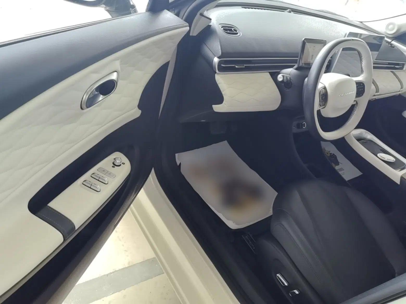 Dongfeng NAMMI 01 2024 New Edition 430 Plus Smart+ — миниатюра 18