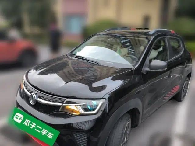 Dongfeng NAMMI EX1 2022 PRO Tiger Glory Standard Model