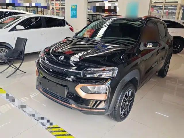 Dongfeng NAMMI BOX 2022 Revised Light Wind Edition 201 km Standard Version
